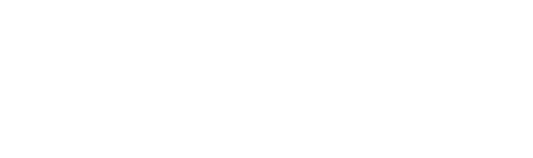 IIDENUT Logo